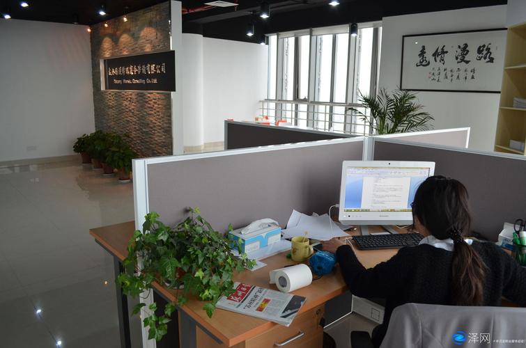 商务咨询公司办公场景资料拍摄